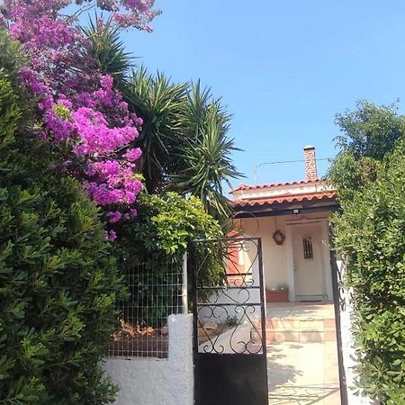 Olive Grove Cottage Skalani Knossós Exterior photo