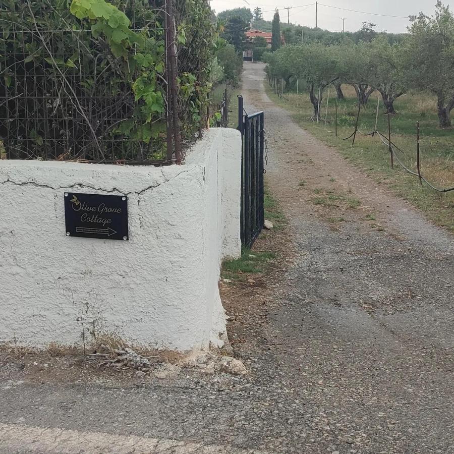 Olive Grove Cottage Skalani Knossós Exterior photo