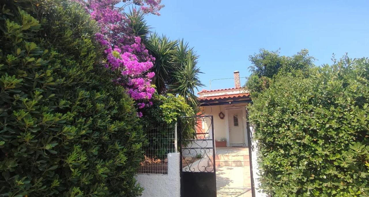 Olive Grove Cottage Skalani Knossós Exterior photo